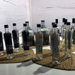 pisco