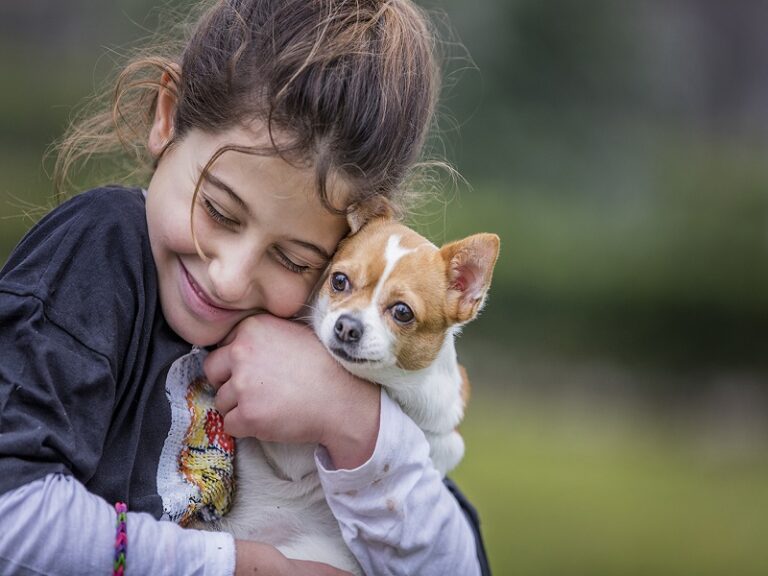 Canine dog in park corporate 2017 5779 96dpi