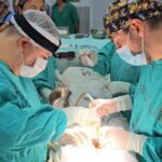 969642-hospital-loayza-realizo-mas-de-144-000-atenciones-durante-los-primeros-cuatro-meses-del-2024