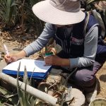 1099705-minsa-intensifica-acciones-preventivas-contra-el-zancudo-transmisor-del-dengue-en-siete-distritos-de-lima-este-1