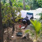1101050-minsa-aprueba-el-plan-nacional-de-prevencion-y-control-del-dengue-y-asigna-mas-de-s-126-millones-para-intervenciones