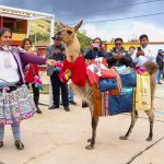 1151417-platero-y-pituca-3