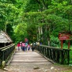 1156081-parque-tingo-mariax11111x2222
