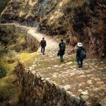 1190409-qapac-nan-0-1