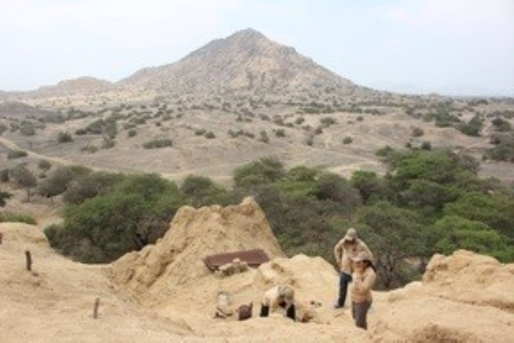 HuacaLasAbejaslosGavilanesLambayequeCultura