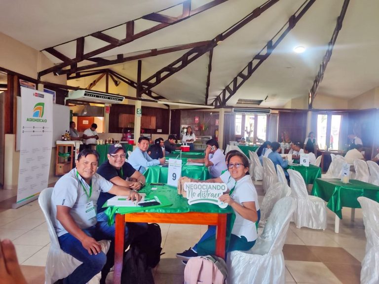 NegociosMadredeDiosEconomía