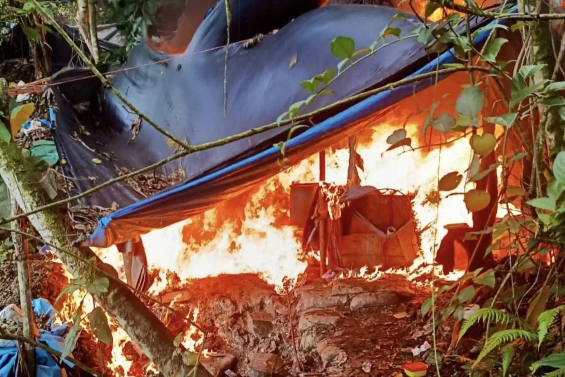 QuemaDeshechoDestrucciónNarcotráficoVRAEMRegionalesPoliciales