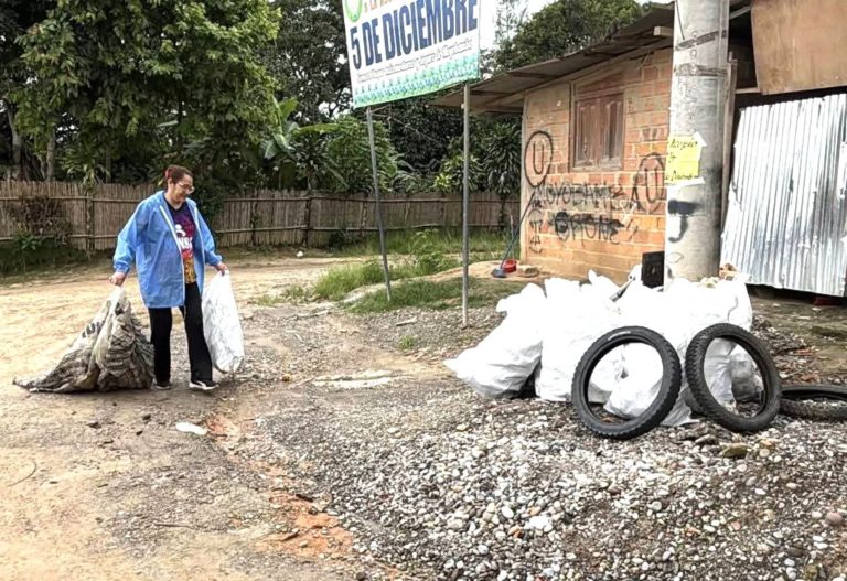 SanMartínReciclajeLimpieza