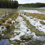 SierraMedioAmbienteNevadoNieve