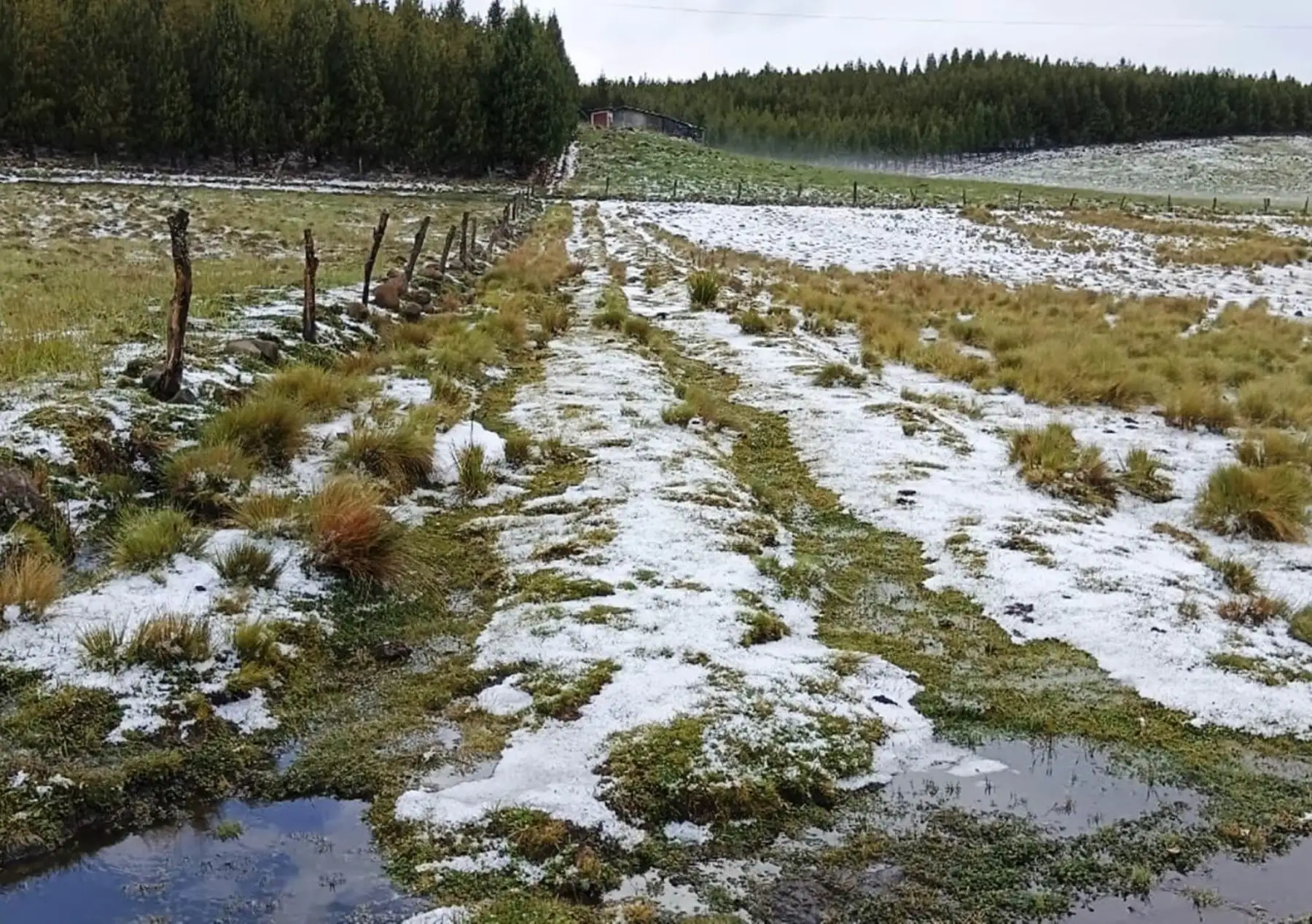 SierraMedioAmbienteNevadoNieve