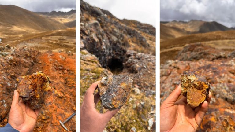 WhatsApp Image 2025-11-17 at 11.18.55 AM