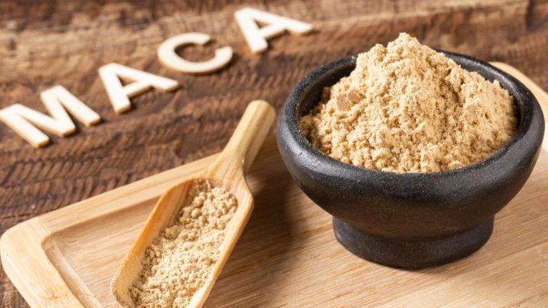 WhatsApp Image 2025-11-17 at 2.49.44 PM