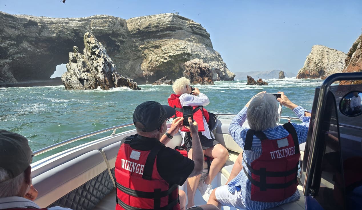 WhatsApp Image 2025-11-19 at 2.17.12 PM