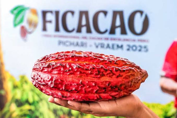 WhatsApp Image 2025-11-19 at 4.14.30 PM