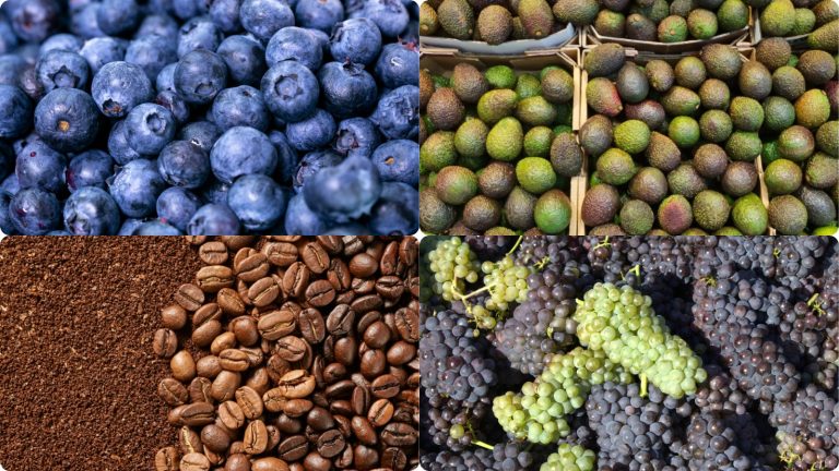 Incremento del 18.7% en las exportaciones regionales superando los US$ 53,000 millones