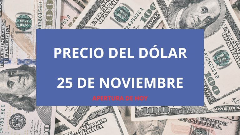 WhatsApp Image 2025-11-25 at 10.17.21 AM