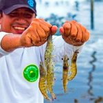 Clausuran programa de capacitación acuícola en beneficio de productores locales