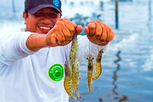 Clausuran programa de capacitación acuícola en beneficio de productores locales