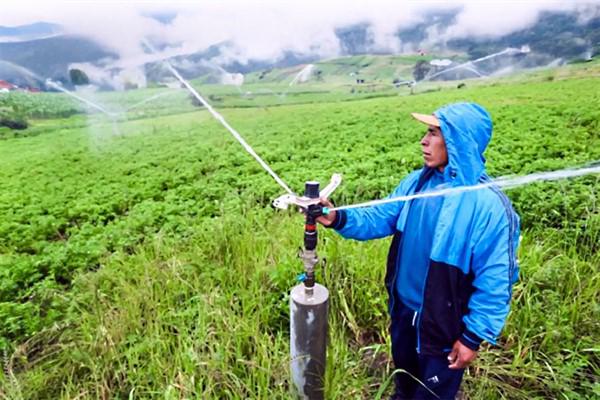 Impulsan proyectos de riego tecnificado para mejorar la productividad agrícola