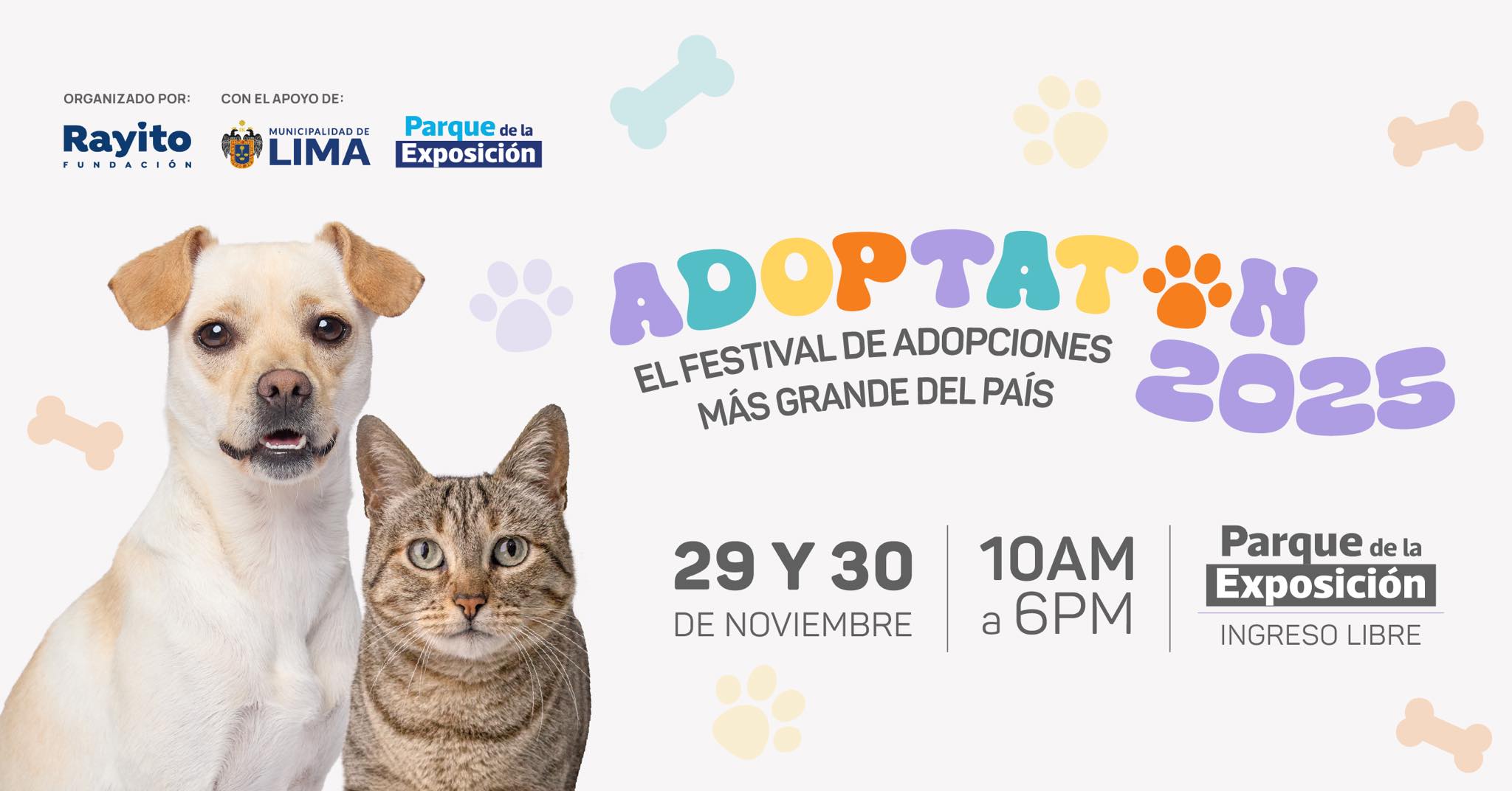 adoptaton