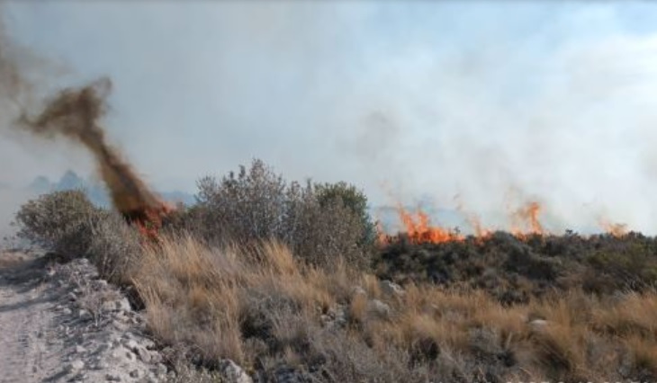 incendioforestal-arequipa