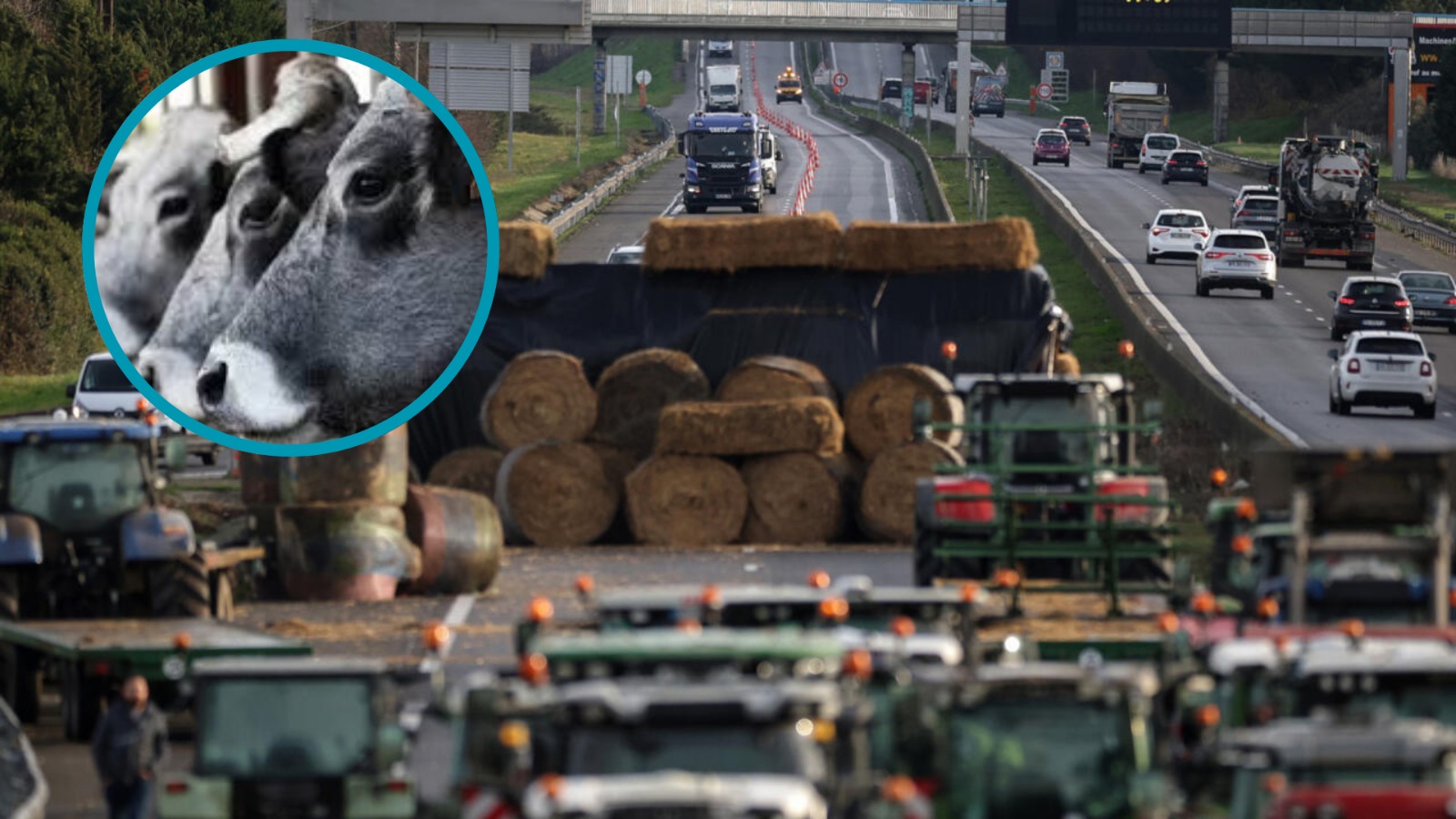 WhatsApp Image 2025-12-17 at 4.18.36 PM