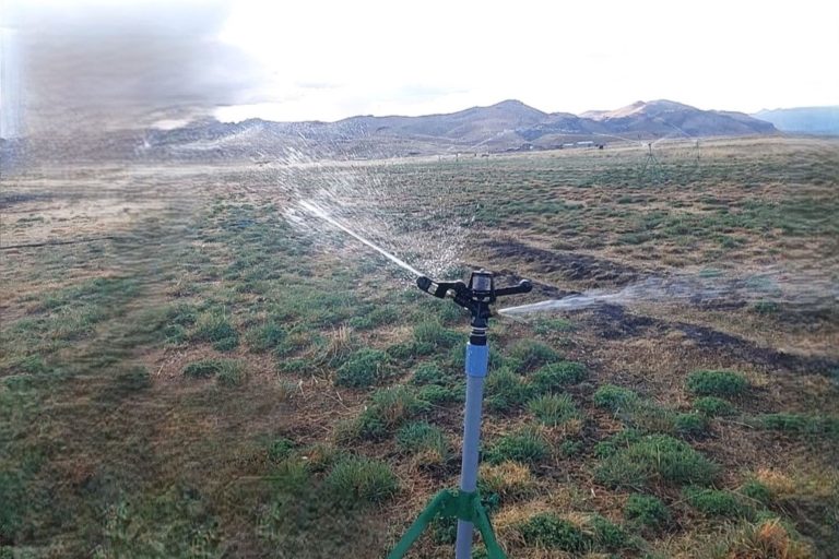 AgriculturaRegionalesEconomía