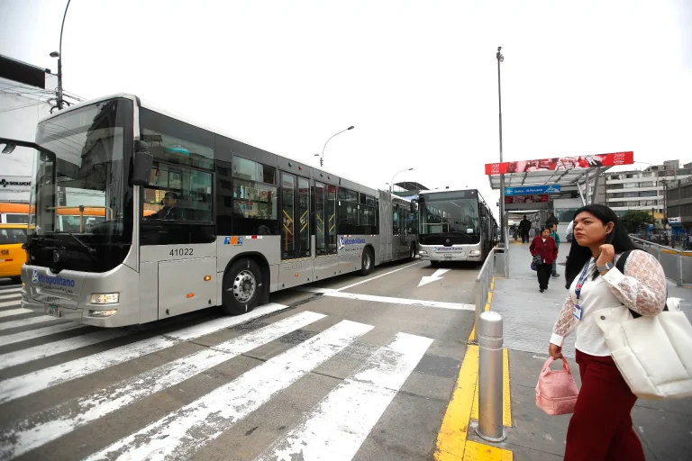 MetropolitanoLimabuses