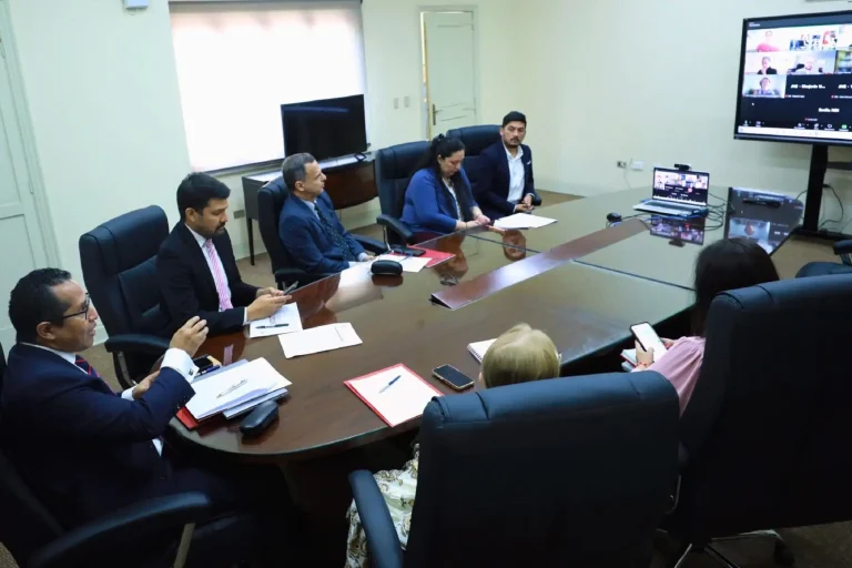 RobertoBermejoONPEElecciones