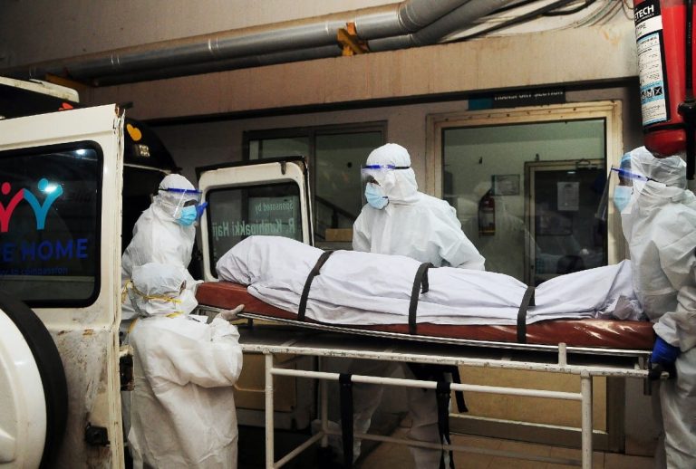 VirusNIPAHsaludmundo