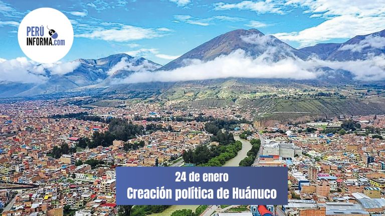 WhatsApp Image 2026-01-24 at 3.21.39 PM