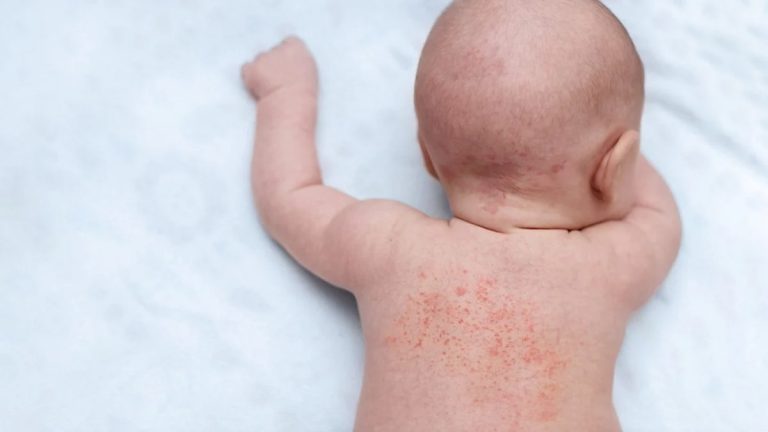 WhatsApp Image 2026-01-31 at 12.24.06 PM