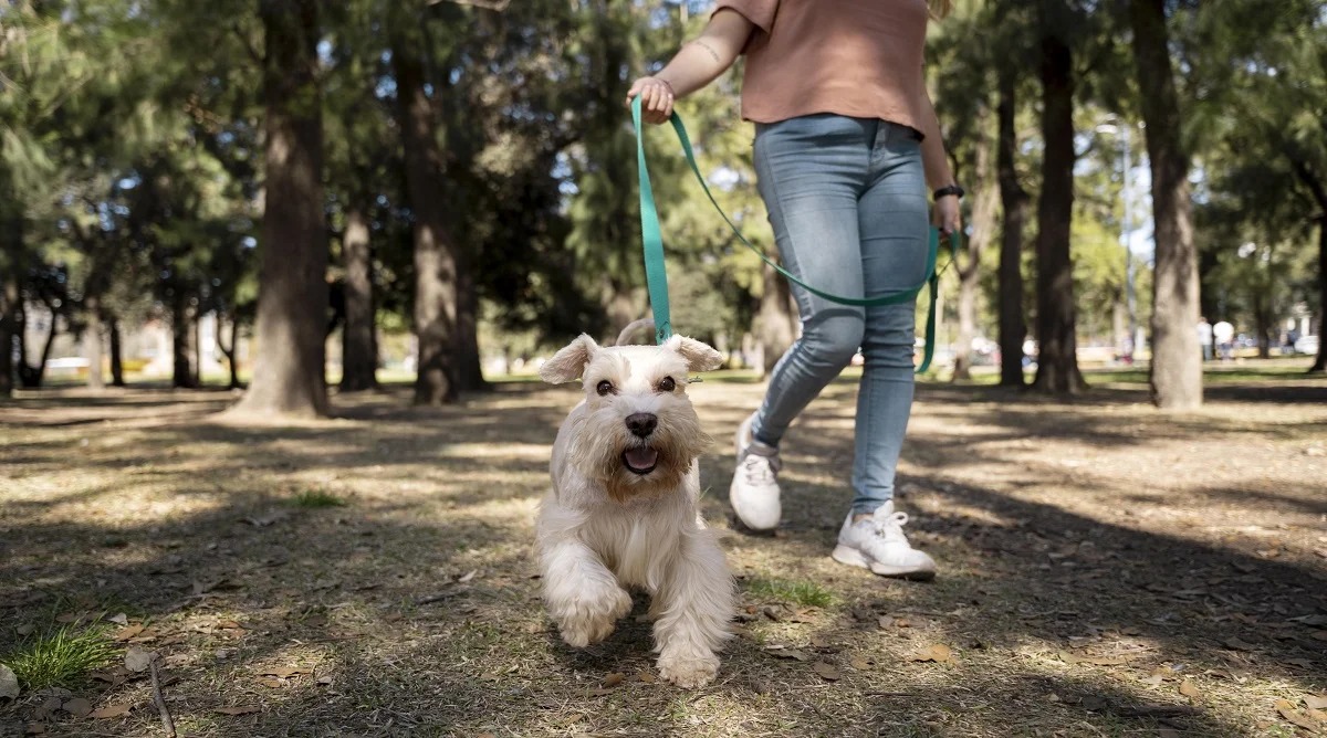 WhatsApp Image 2026-01-31 at 4.47.56 PM