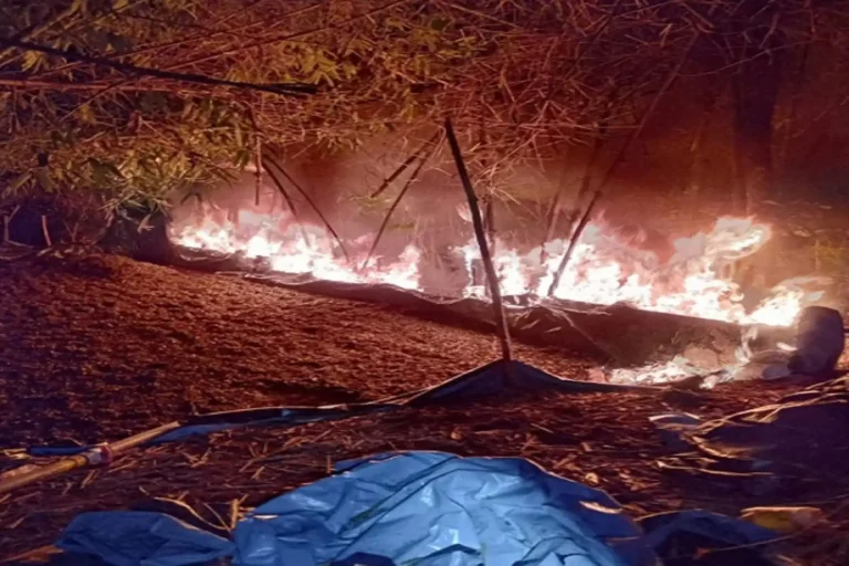 decomisaquemaproductosVRAEM