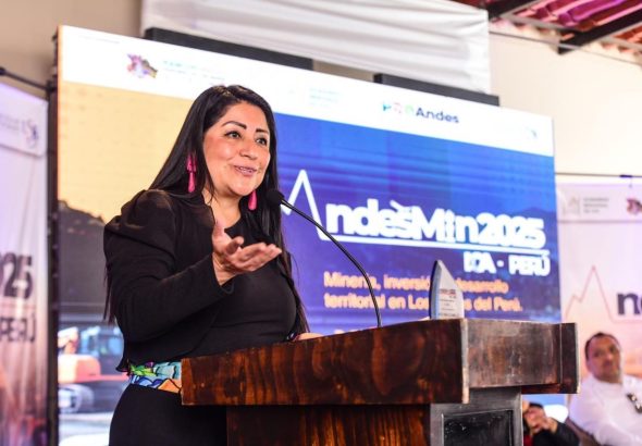 DenisseMirallesAndesMIN2025