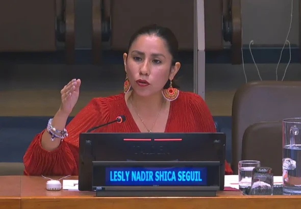 LeslyNadirShicaSeguilONU