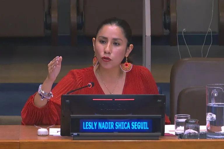 LeslyNadirShicaSeguilONU