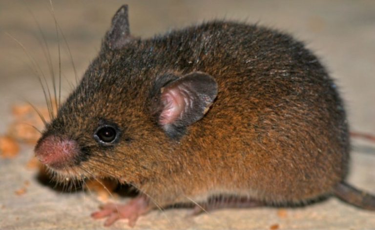 WhatsApp Image 2026-02-01 at 7.54.50 PM