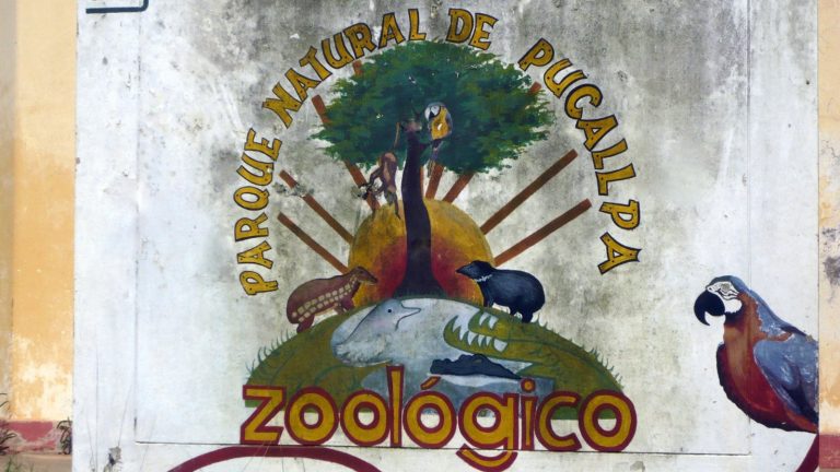 zoologico