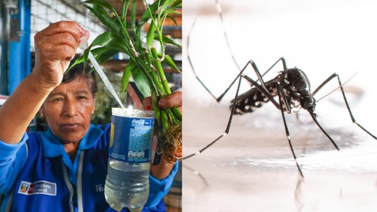 WhatsApp Image 2026-02-05 at 8.56.31 PM