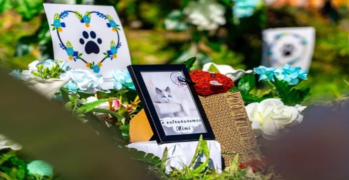 mascotas-cementerio