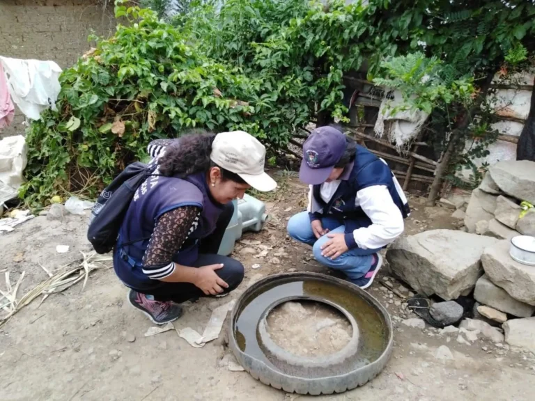 saluddengueregionales