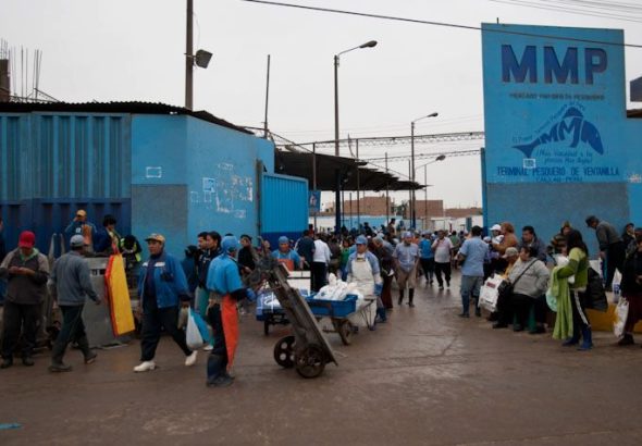 terminal-pesquero-ventanilla