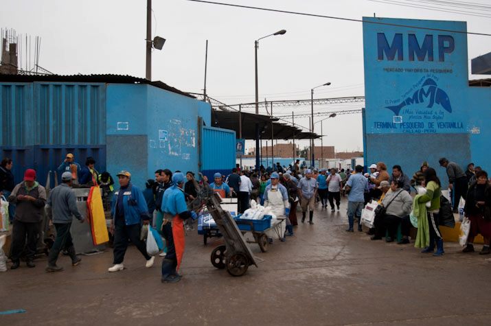 terminal-pesquero-ventanilla